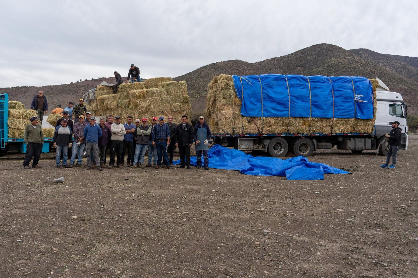 Municipalidad de Santa María entrega fardos de pasto a crianceros de Valle Jahuel para enfrentar la sequía