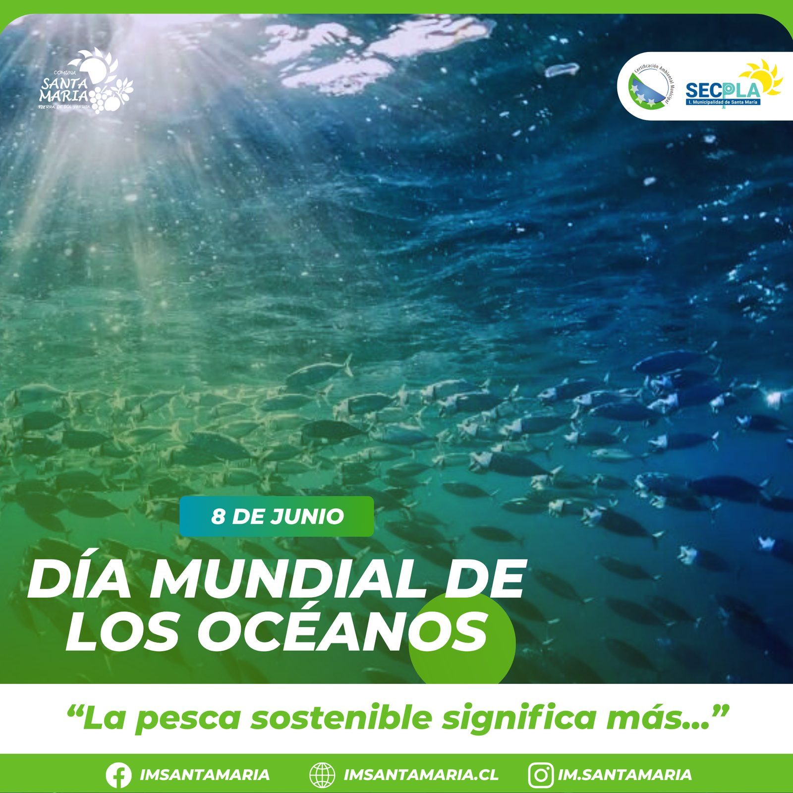 8 de junio | Día Mundial de los Océanos