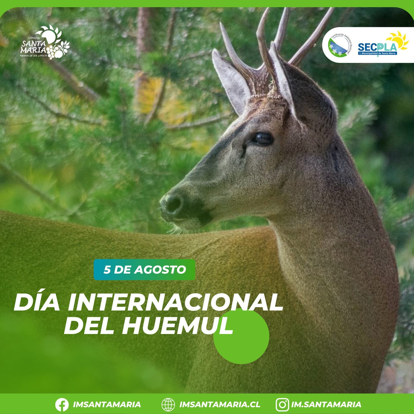 5 de agosto – Día Internacional del Huemul