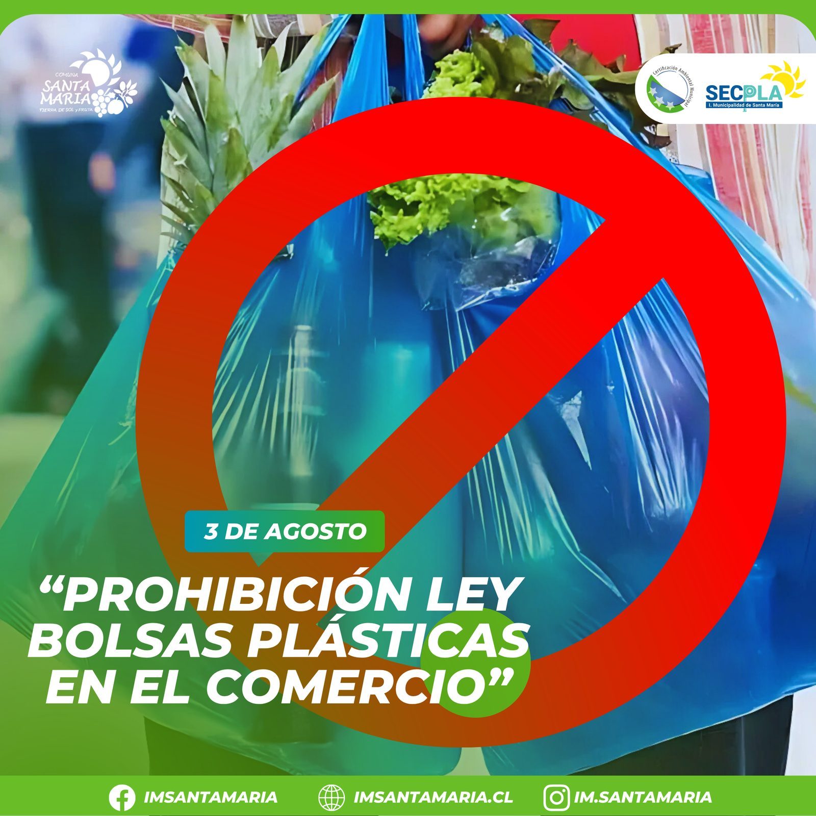 3 de agosto – “Prohibición Ley Bolsas Plásticas en el comercio”