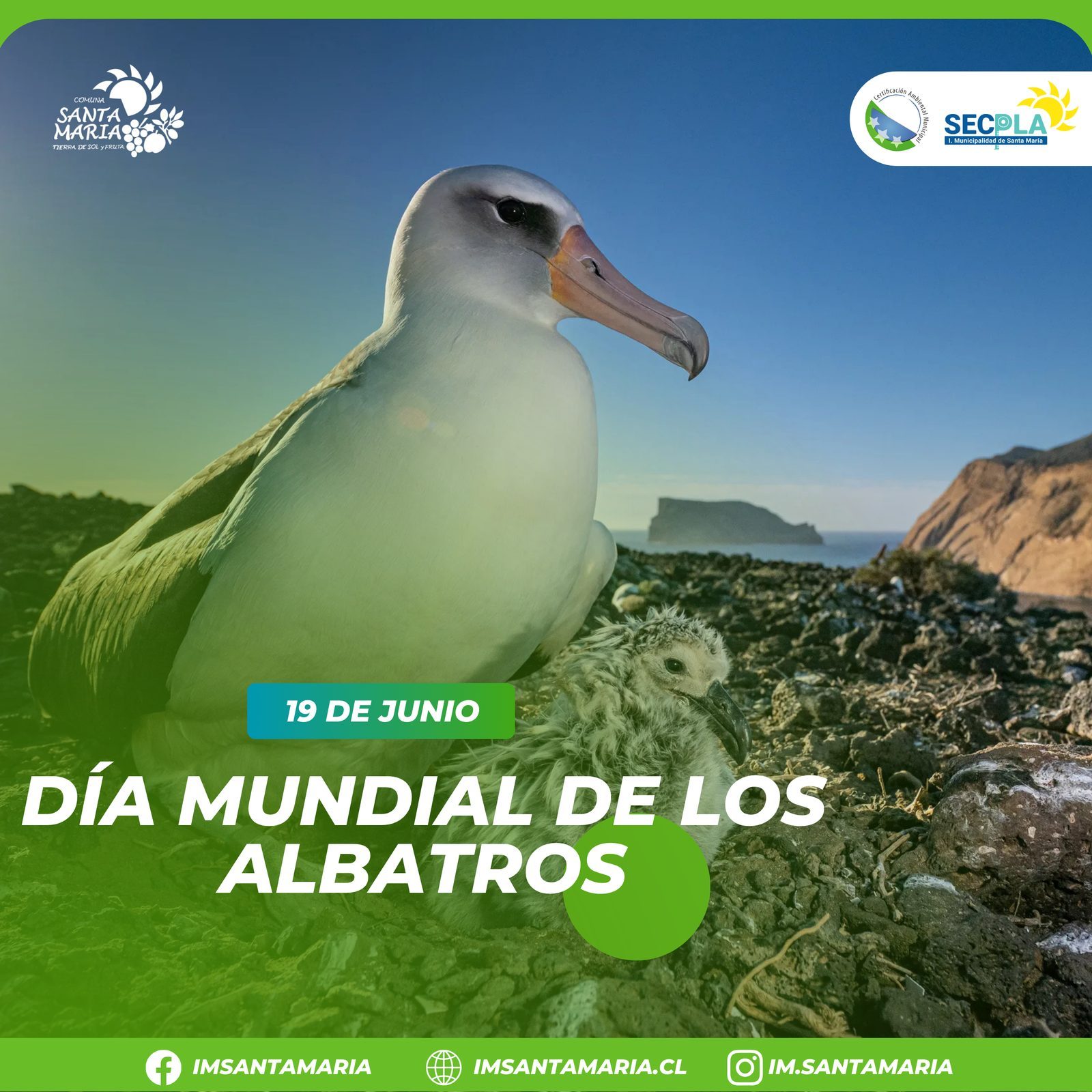 19 de junio | Día Mundial de los Albatros
