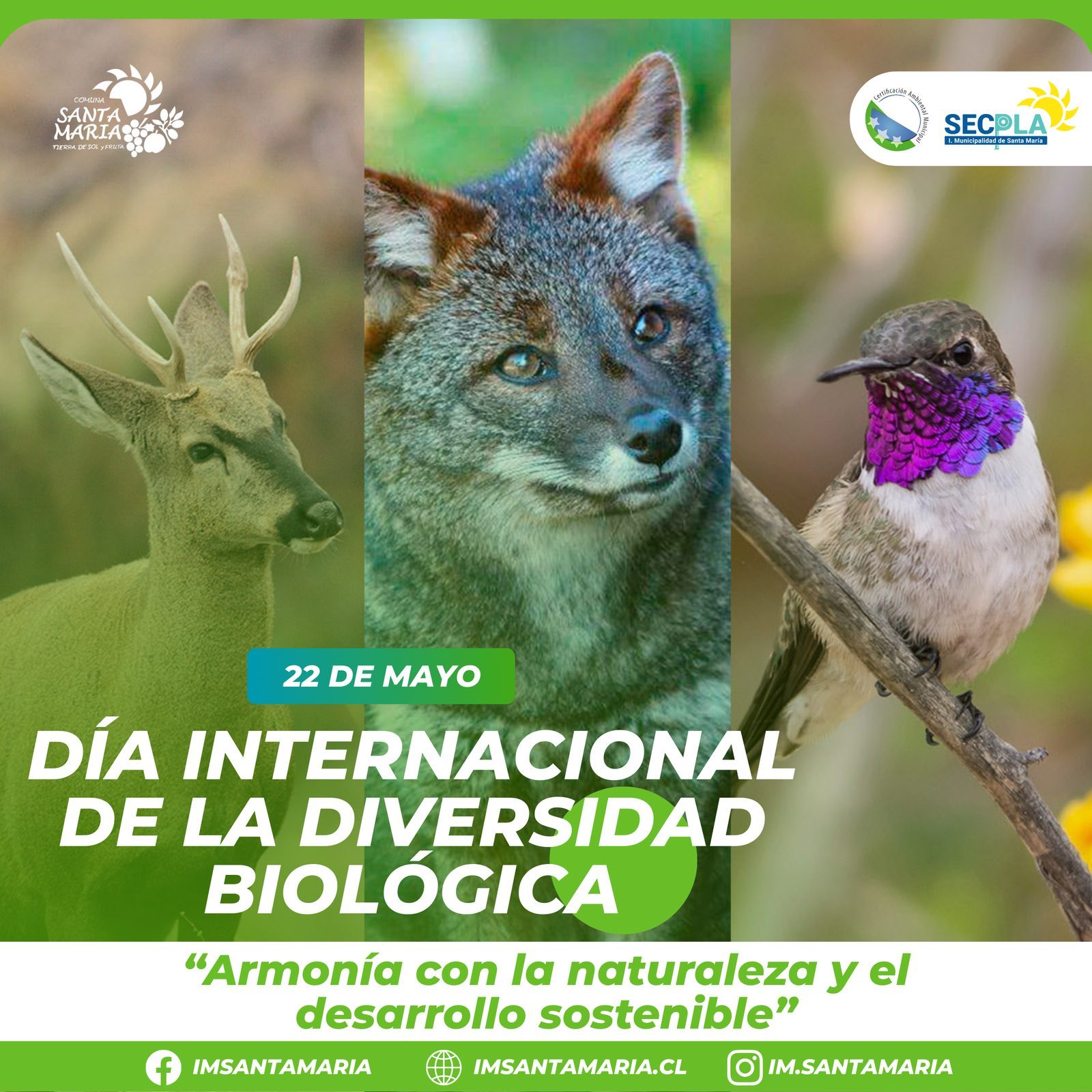 22 de mayo  – «Día Internacional De La Diversidad Biológica»