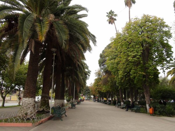 plazastamaria1